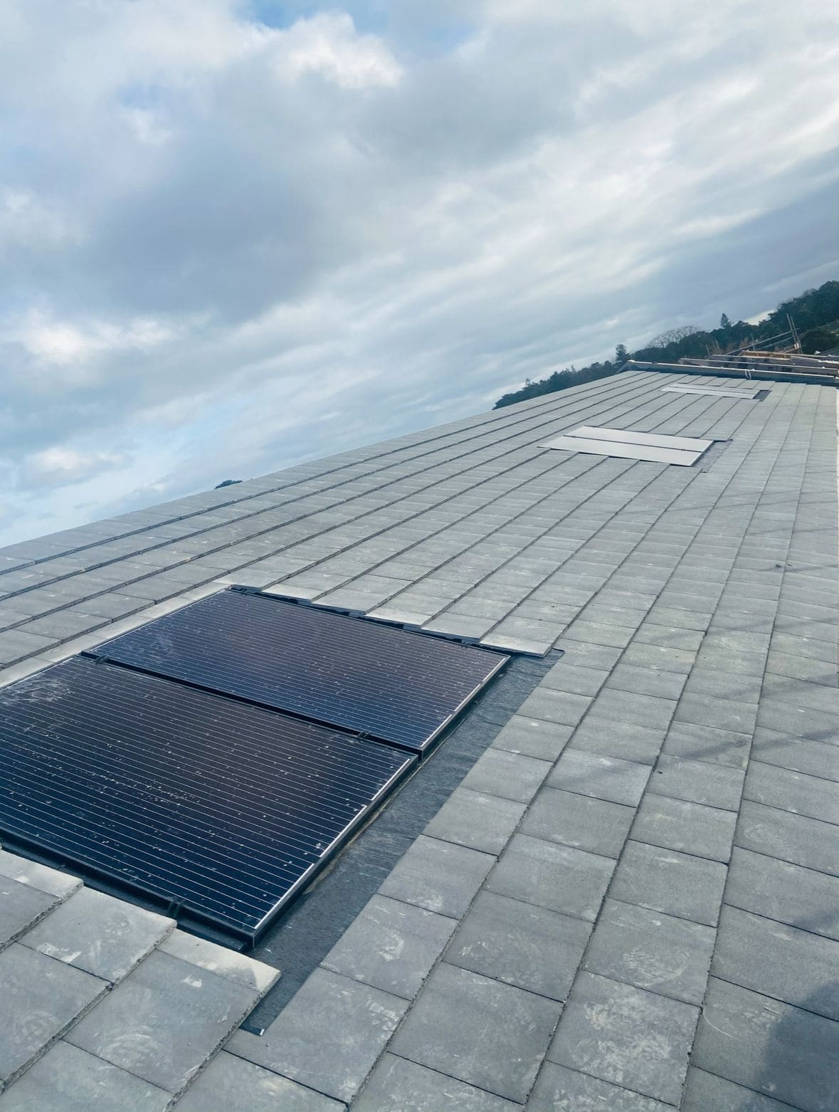 Two black solar panels mounted on a grey slate roof under a cloudy sky, with more roof slope behind.