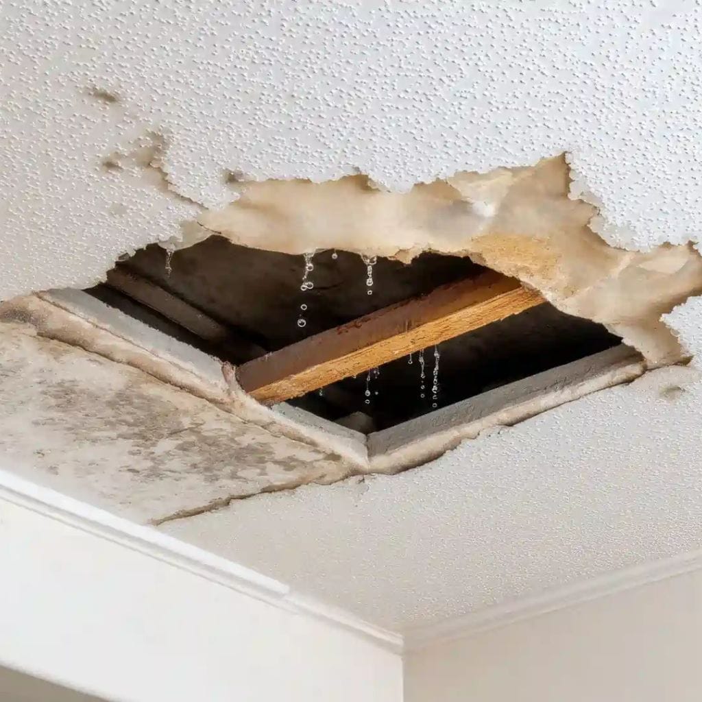 Water dripping through a large damp-stained hole in a white textured ceiling, exposing dark timber joists.