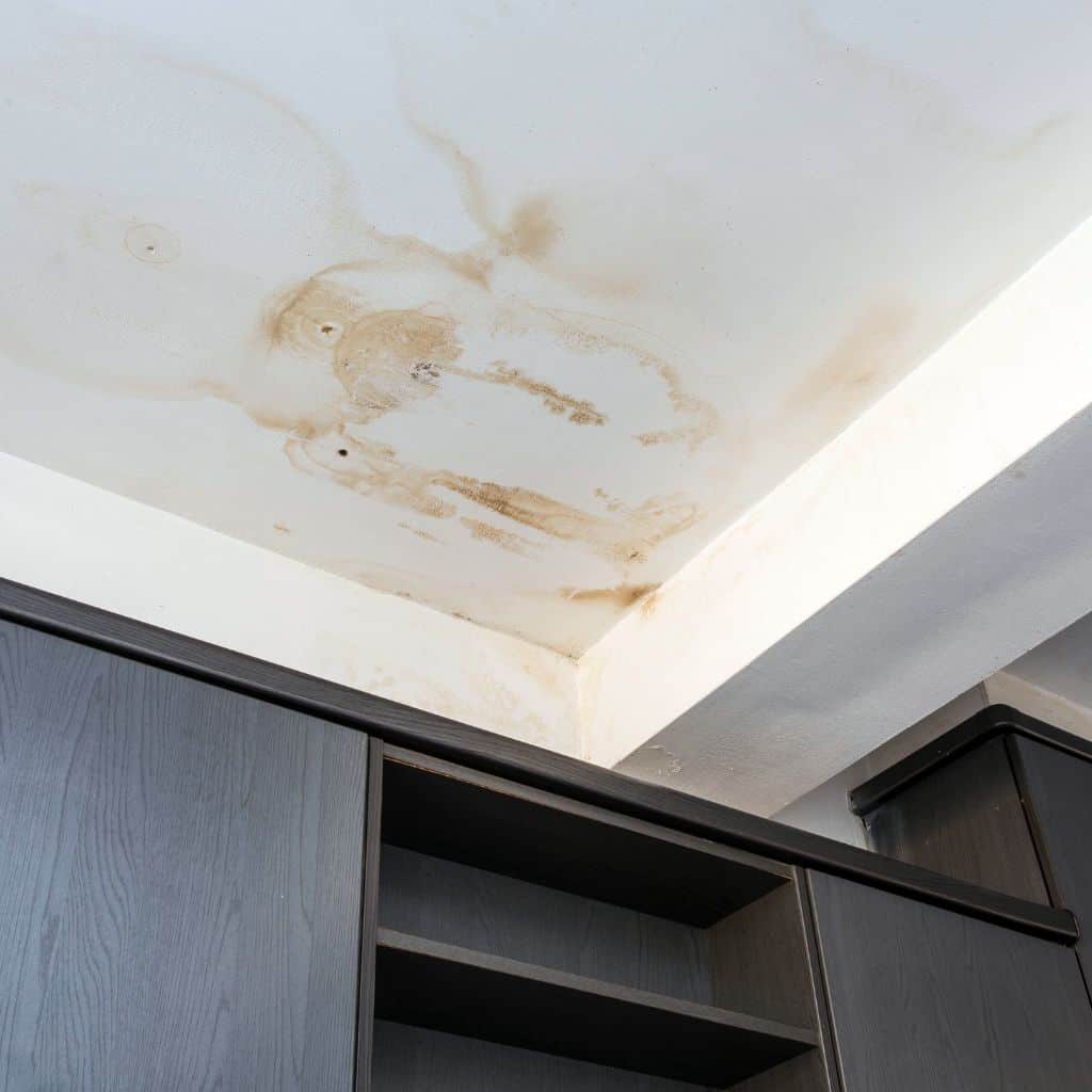 Brown water stain spreading across a white ceiling above dark grey kitchen cabinets, showing a roof leak.